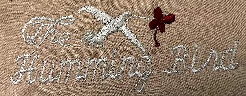 Humming Bird Logo
